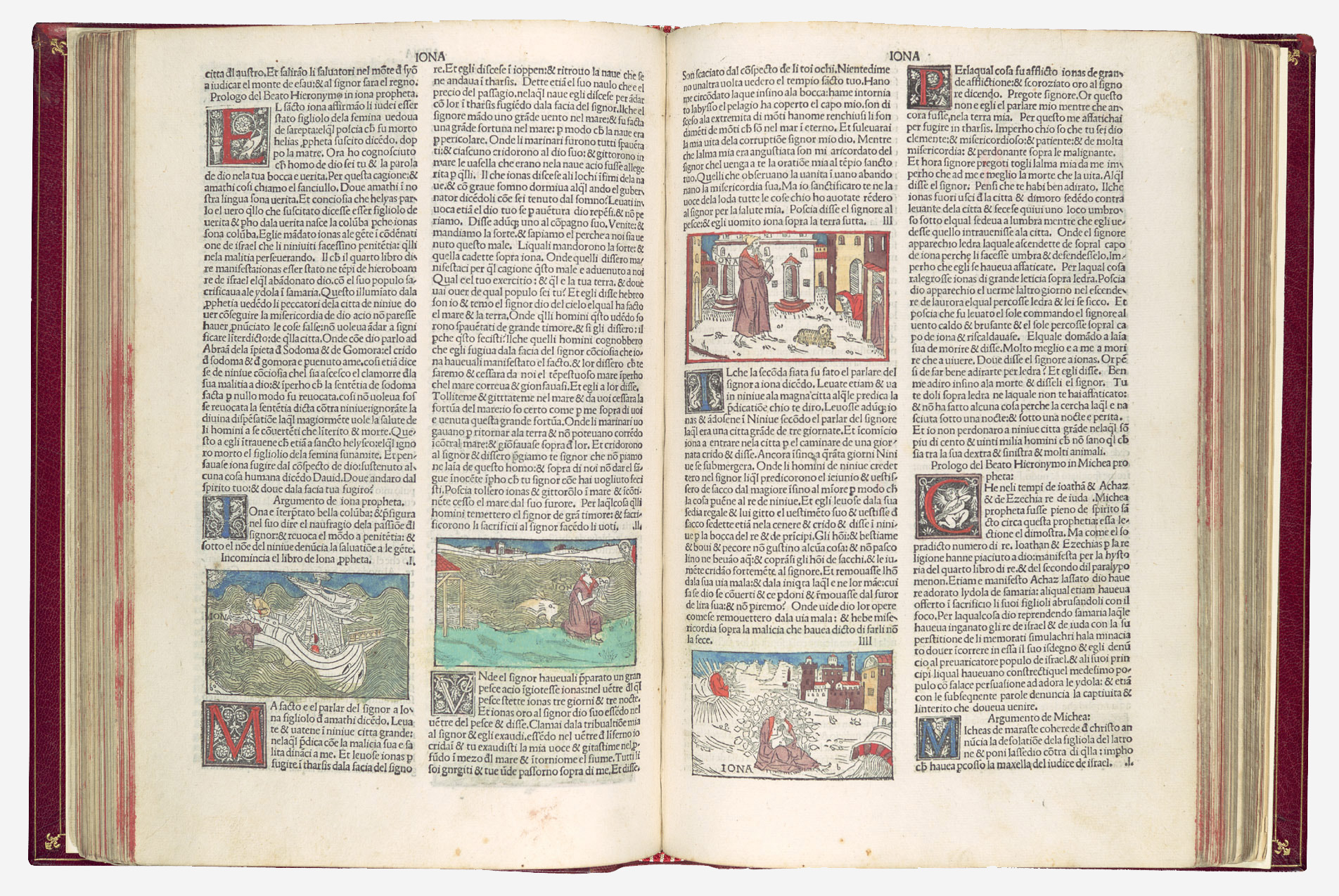 Italian Bible Nuova Diodati [Similar to NKJV]: 9783906788555 